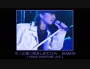 もっと強く抱きしめたなら　WANDS 【 LIVE-VIDEO SHOOTING 】