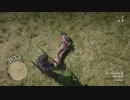 Red Dead Redemption 2 レッドデッドリデンプション２ オンライン　高速炸裂弾試し撃ち動画