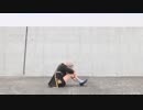 【刀剣乱舞】 橙ゲノム 【踊ってみた】