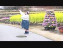 【個性の主張】愛言葉Ⅲ　で動いてみた【動画投稿８周年】