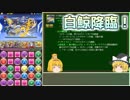【パズドラ】レアガチャ禁止！！裏・闘技場制覇への道 Part.14【ゆっくり実況】