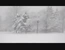 真冬の北海道札幌市の風景 その1