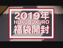 今年も福袋を開封してみた！2019Wii