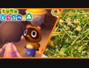 酒とつまみと「どうぶつの森」 3週目【豆苗と塩昆布の白和え】
