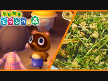 酒とつまみと「どうぶつの森」 3週目【豆苗と塩昆布の白和え】