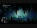 【第１２夜】眠れぬ夜のHOLLOW KNIGHT【実況】