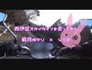 【ゆかり車載】西伊豆スカイラインをおバイクしてきた【VTR250】