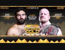 【wXw】アブソリュート・アンディ(ch.)vsデビット・スター【19.1.26】