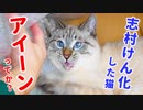 猫が興奮しすぎて変な顔になっちゃいました…