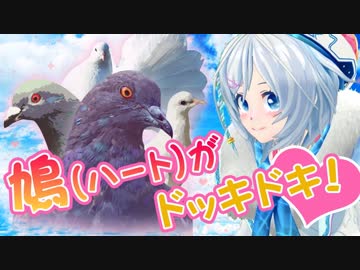 鳩ぽっぽの恋愛ゲームの結末が衝撃的すぎぽっぽ…【Hatoful Boyfriend】