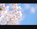 [弾き語り]　桜　[歌ってみた]