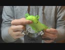 【ASMR】いい音出るカエルをひたすらもみくちゃに【音フェチ】