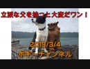 ボギー大佐の言いたい放題　2019年03月03日　21時頃　放送分