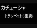 【毎日投稿】カチューシャをトランペットで【吹いてみた】