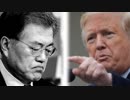 トランプ大統領「韓国と合同演習は意味ないから止める！」全韓国国民盛大に火病（笑）