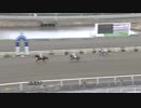 2019年3月3日高知競馬2R 愛媛県馬事畜産振興推進協議会協賛 愛媛県馬事畜産振興推進協議会特別(C3-2組) アルコバッサ