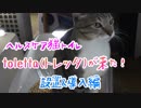ヘルスケア猫トイレtoletta(トレッタ)がついに届いた！！設置&導入編