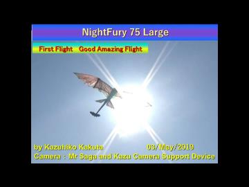ナイトフューリー大きなドラゴン型羽ばたき機