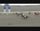 2019年3月3日高知競馬3R 四国馬事畜産振興協議会協賛 頑張れ高知けいば特別(C2-5組) トラストエンジェル