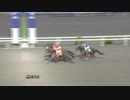 2019年3月3日高知競馬4R 高知県馬事畜産振興協議会協賛 土佐あかうし特別(C2-4組) アタゴタイゼン