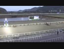 2019年3月3日高知競馬5R 徳島県馬事畜産振興事業協議会協賛 徳島県阿波尾鶏特別(C2-3組) レッドリュンヌ