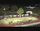 高知競馬のパドック解説でなぜかあの曲が？(2019年3月3日高知競馬9R)