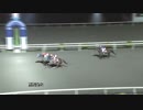 2019年3月3日高知競馬9R 桃の節句特別(C2-1組) プラントハンター