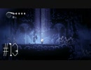 【第１３夜】眠れぬ夜のHOLLOW KNIGHT【実況】