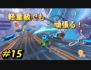 【マリオカート8DX】超エンジョイ勢によるマリオカート実況＃15