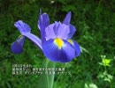 誕生日に贈る言葉～3月5日生まれの理想主義者のあなたに－聴きものがたり