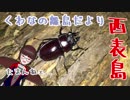 【生き物紹介動画】くわなの離島だより【西表島】
