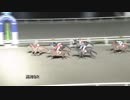 2019年3月4日高知競馬8R ヒヤシンス特別(C3-1組) アシャカチムサー