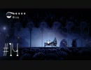 【第１４夜】眠れぬ夜のHOLLOW KNIGHT【実況】