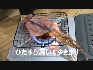 するめ焼いたので酒飲んでみた。【ストロングゼロ】