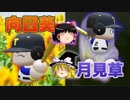 【パワプロ2018】三浦大輔が3年間で春夏連覇#13【ゆっくり実況】