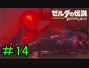 【実況】見落としが多い勇者の冒険part14【ブレスオブザワイルド】