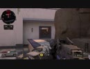 【COD BO4】装備頼りの対人戦119【TDM100】