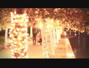 和田勝海　Lights along a River