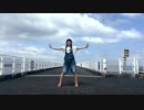 【りるにゃん】  夏恋花火  踊ってみた  【季節外れ】