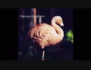 Flamingo GigaUTAURemix