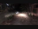 【アーカイブ】神奈川の心霊スポット凸②