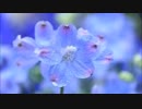 【アンパンマン】　癒しのオルゴール＋川のせせらぎ　【作業用・睡眠用】 Music Box