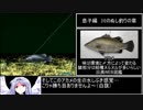 川のぬし釣り～秘境を求めて～ 影のぬし釣りRTA 4時間32分7.1秒 part4/6