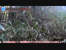 [茨城険道158号]ゆっくりジムニー険道めぐり！その66