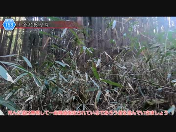 [茨城険道158号]ゆっくりジムニー険道めぐり！その66