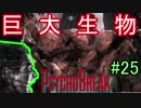 【サイコブレイク　初見実況】死が渦巻く狂気の世界からの脱出！　Part 25