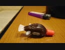 普通の人間が遠藤正明を歌うとこうなる その4　鳥の詩