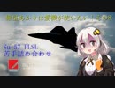 【ACECOMBAT7マルチ】紲星あかりは愛機が使いたい！その8【VOICEROID実況】