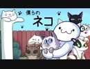 僕らのネコ :3