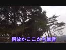 多分GalaxyS6edgeから最後のライブ 2019.02.05